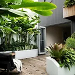 Dhome Guest Elite